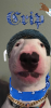 329836446062201.png