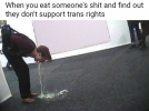 Support trans rights.png
