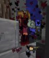 IMG_2766.jpeg