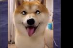 1724654936079.png