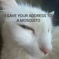 catscan
