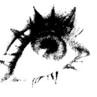 dh_